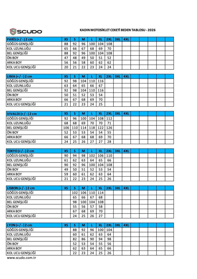 Lyon Gri 4 Mevsim Kadın Montu
